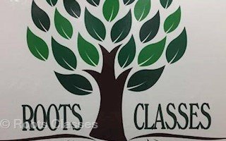   Roots Classes 