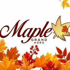   Maple Pure Veg Restaurant 